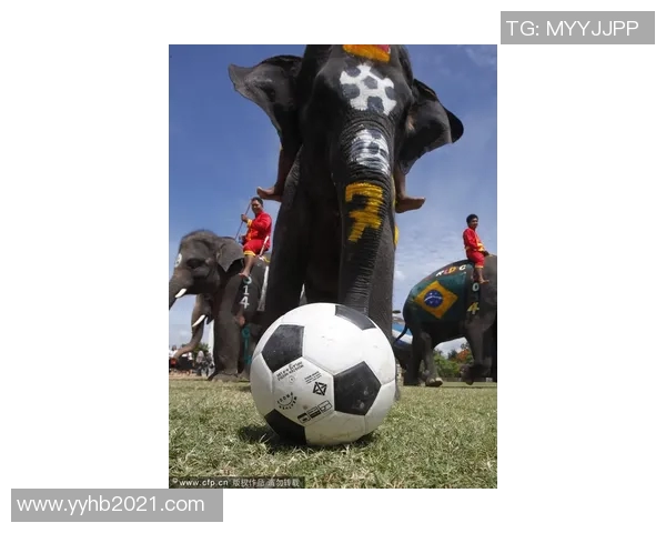 87年出生的足球明星崛起之路 探秘他们如何在绿茵场书写辉煌篇章