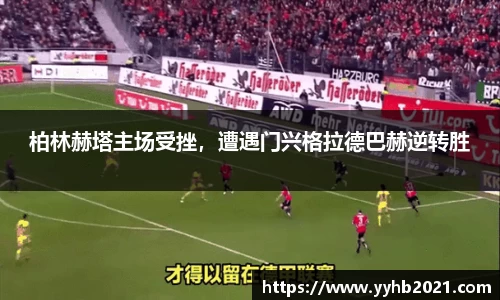 B体育bsports