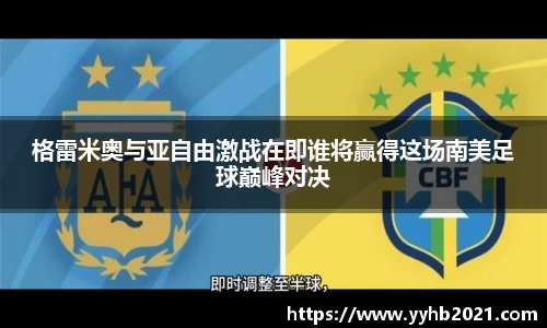 bsports官网入口